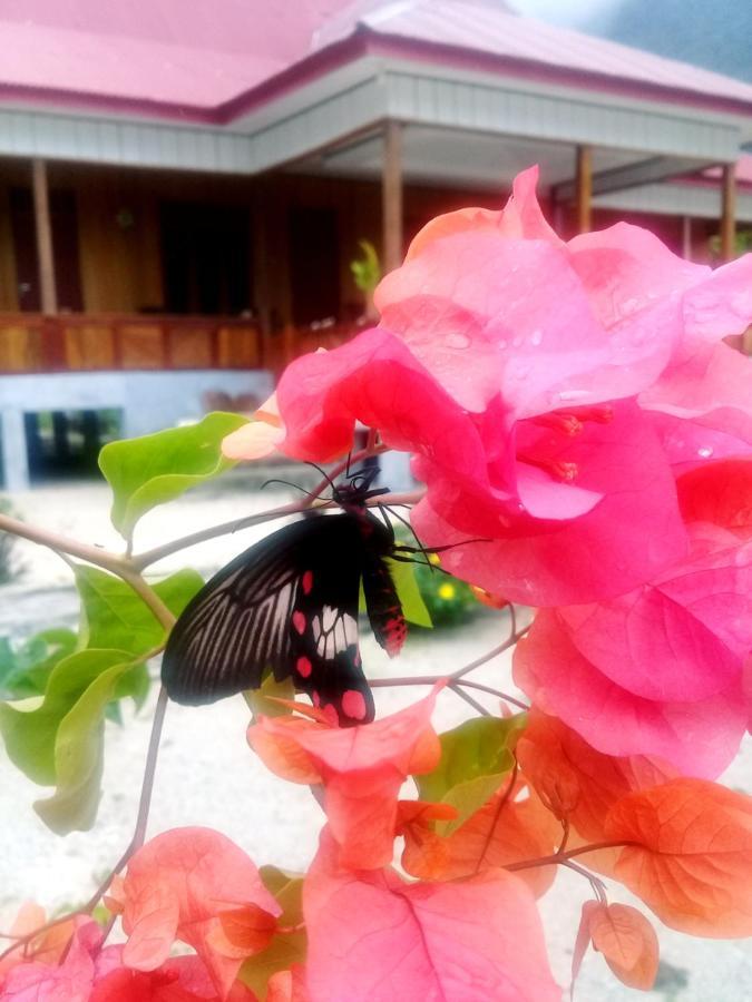 Nusa Nalan Beach Resort Rumah Olat Luaran gambar